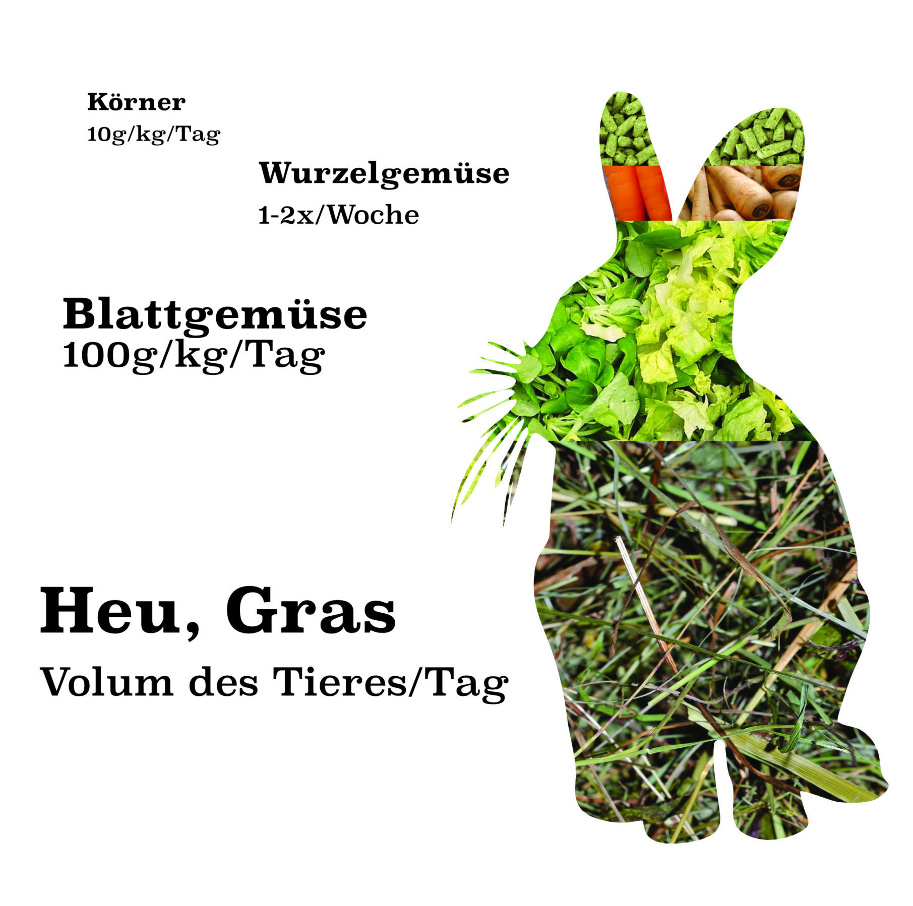 Ernährung des Kaninchens vétérinaire am Bahnhof