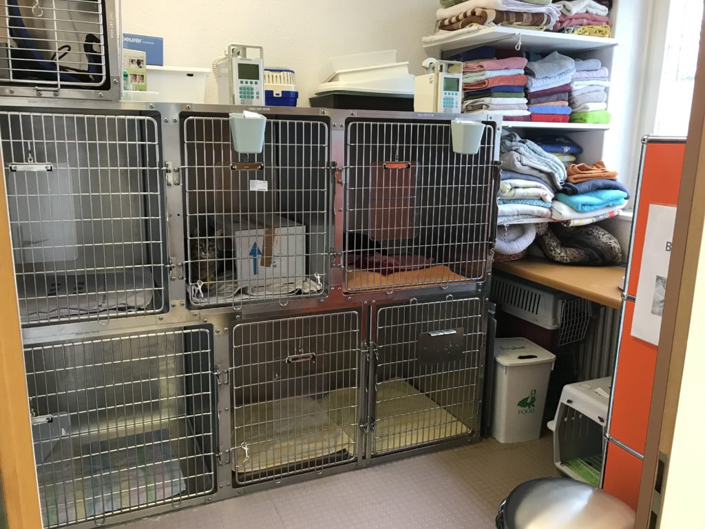 Hospitalisationsraum für Katzen, Kaninchen und Nager